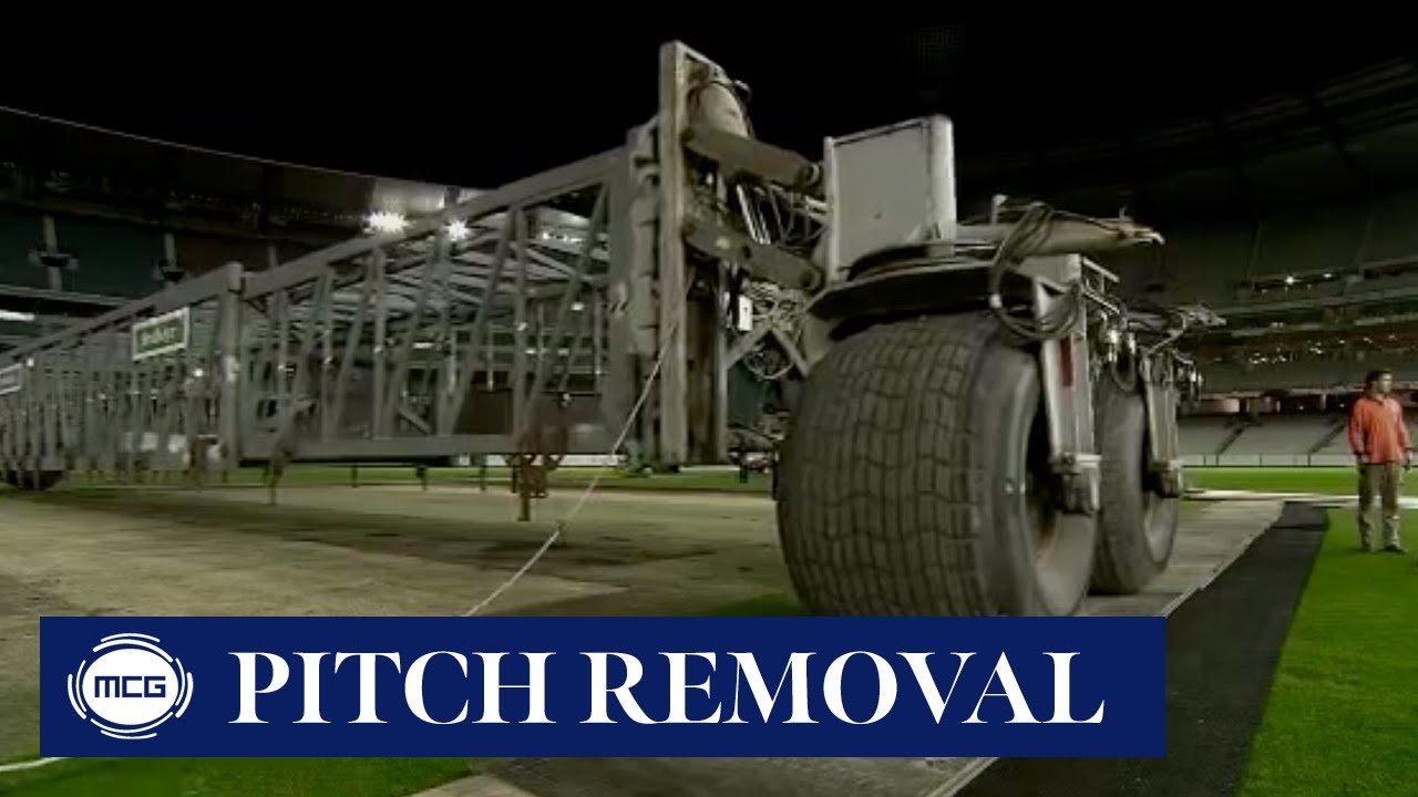 How do we remove the portable cricket wickets, and where do they go?